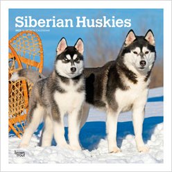 BrownTrout Publishers Siberian Huskies 2027 Wall Calendar