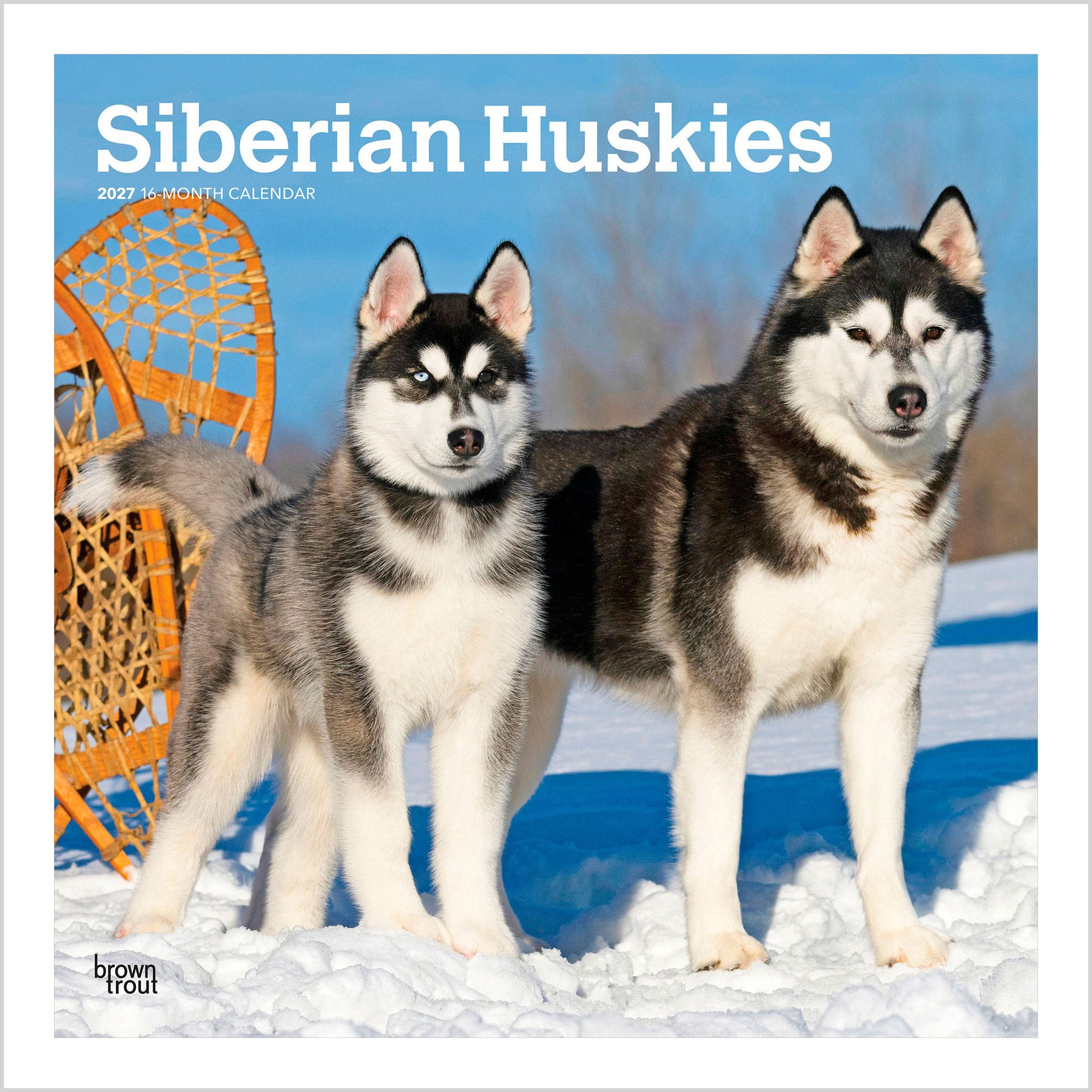 BrownTrout Publishers Siberian Huskies 2027 Wall Calendar
