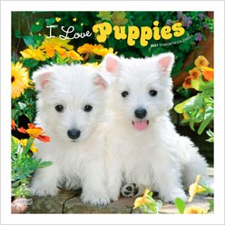 BrownTrout Publishers I Love Puppies 2027 Wall Calendar