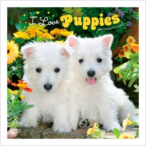 BrownTrout Publishers I Love Puppies 2027 Wall Calendar