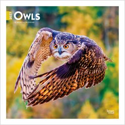 BrownTrout Publishers Owls 2027 Wall Calendar