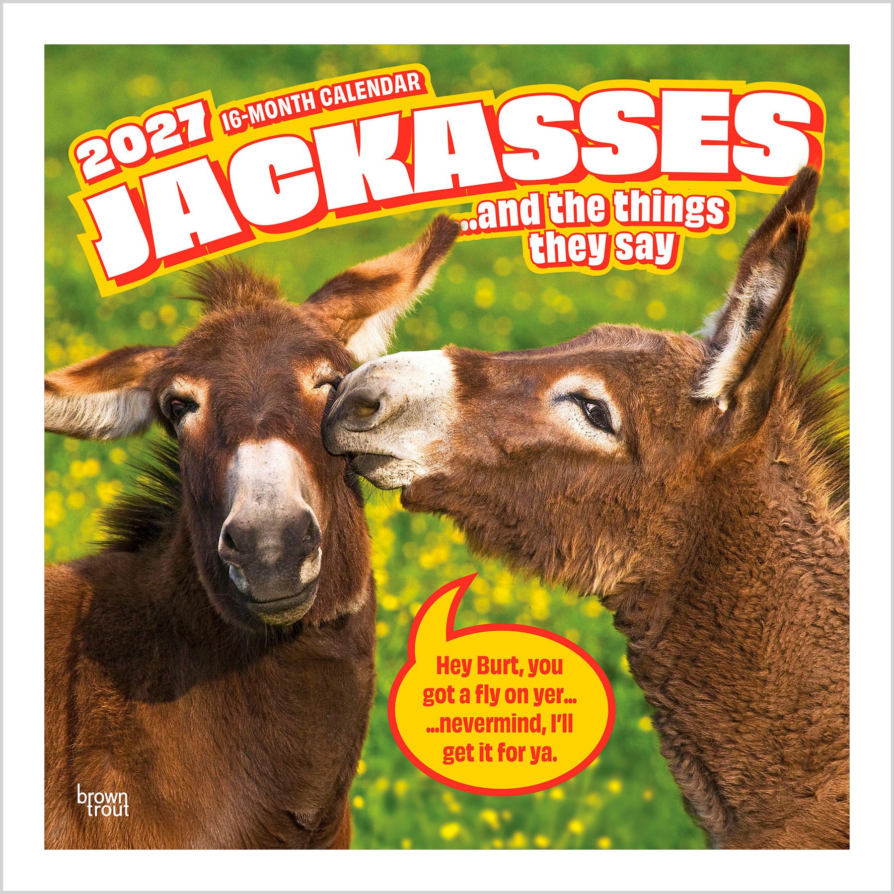 BrownTrout Publishers Jackasses 2027 Wall Calendar