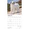 Show in main carousel: BrownTrout Publishers Great Pyrenees 2027 Wall Calendar slide 3 of 9