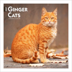 BrownTrout Publishers Ginger Cats 2027 Wall Calendar