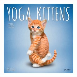 BrownTrout Publishers Yoga Kittens 2027 Wall Calendar