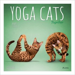 BrownTrout Publishers Yoga Cats Together 2027 Wall Calendar