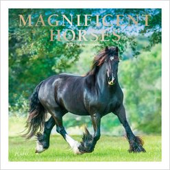 BrownTrout Publishers Magnificent Horses 2027 Wall Calendar
