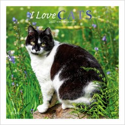BrownTrout Publishers I Love Cats 2027 Wall Calendar