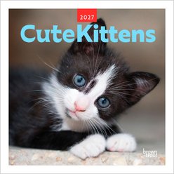 BrownTrout Publishers Cute Kittens 2027 Wall Calendar