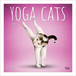 BrownTrout Publishers Yoga Cats Official 2027 Wall Calendar