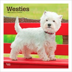 BrownTrout Publishers West Highland White Terriers 2027 Wall Calendar