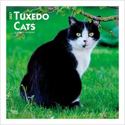 BrownTrout Publishers Tuxedo Cats 2027 Wall Calendar