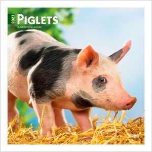 BrownTrout Publishers Piglets 2027 Wall Calendar