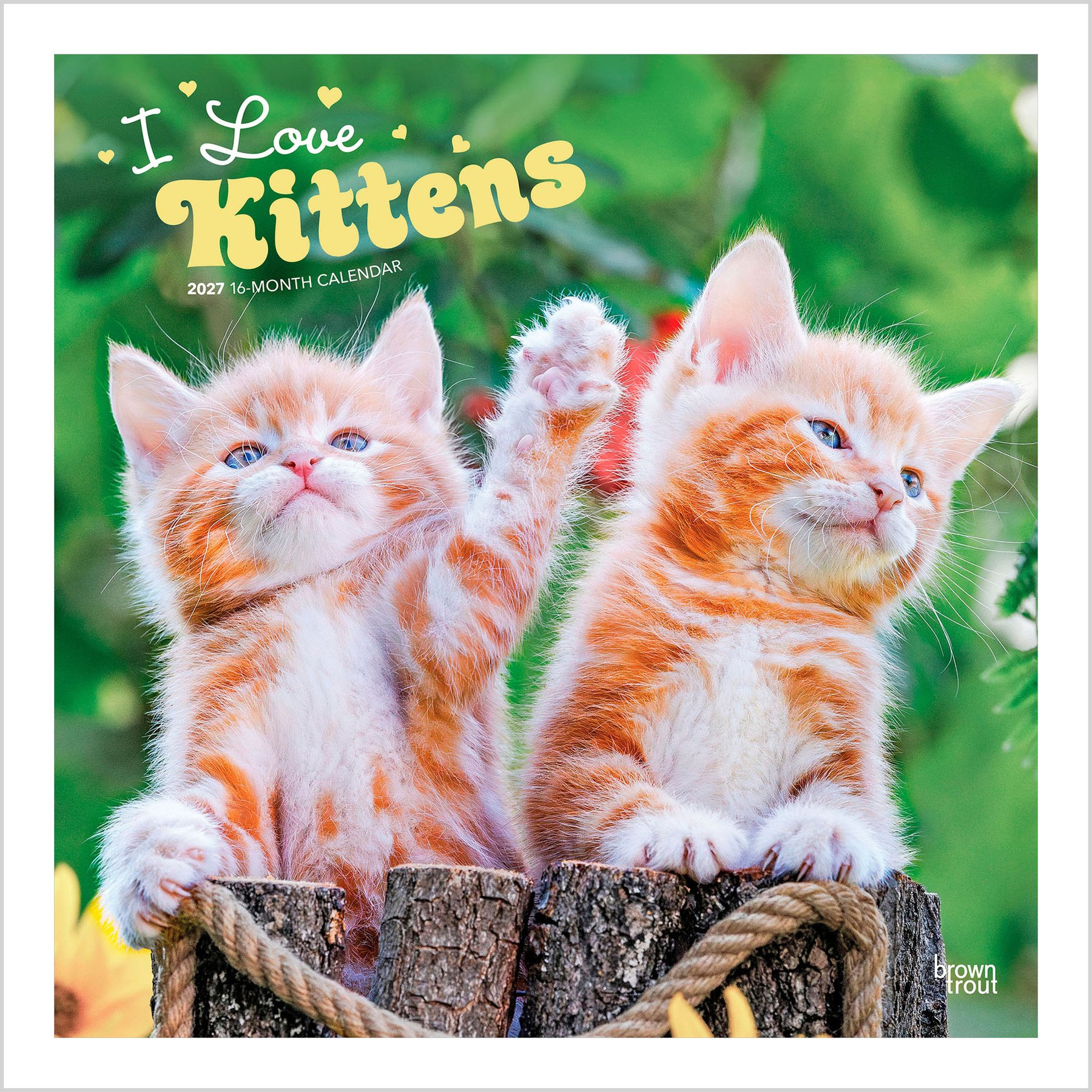 BrownTrout Publishers I Love Kittens 2027 Wall Calendar