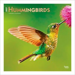 BrownTrout Publishers Hummingbirds 2027 Wall Calendar