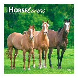 BrownTrout Publishers Horse Lovers 2027 Wall Calendar