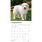 Show in main carousel: BrownTrout Publishers Great Pyrenees 2027 Wall Calendar slide 4 of 9