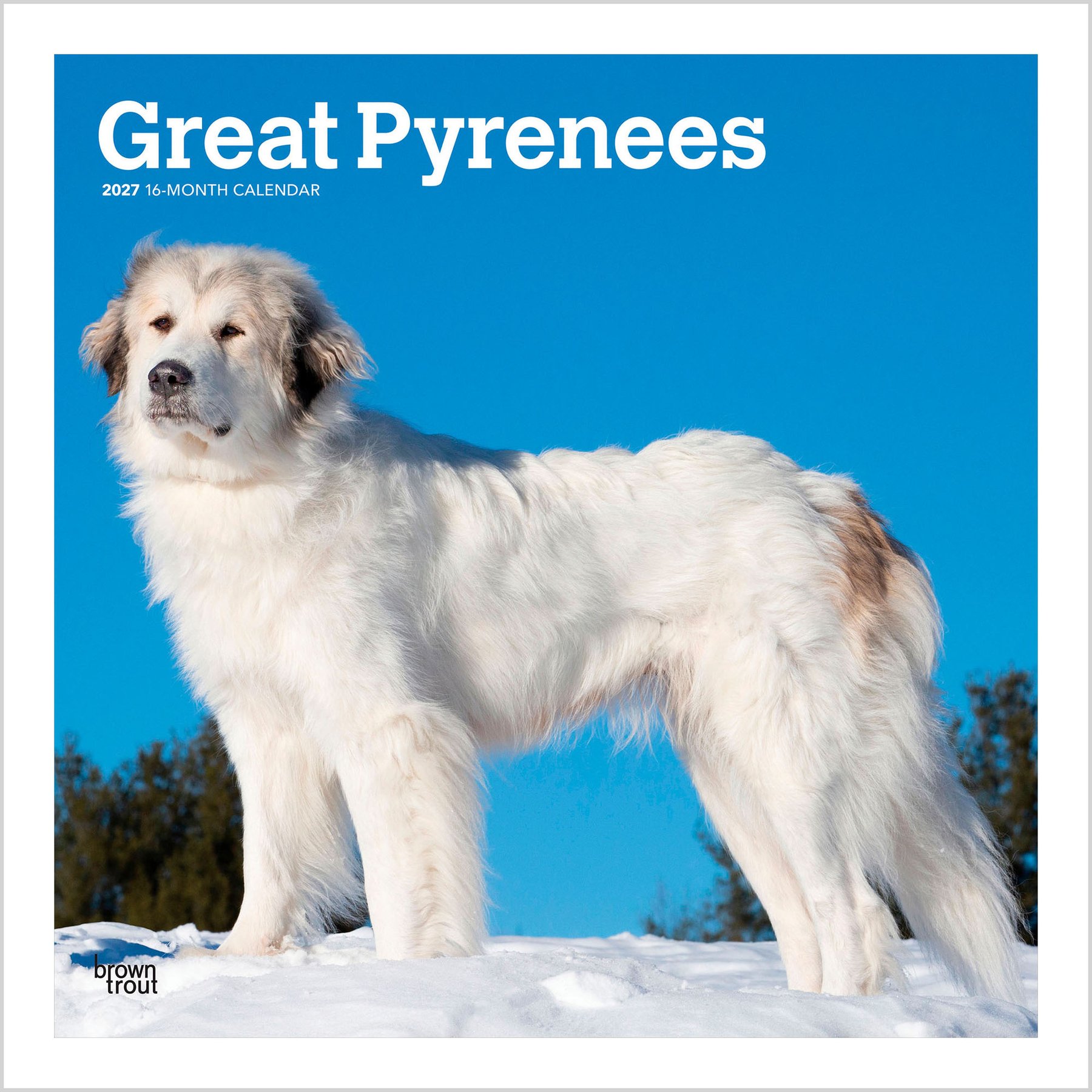 BrownTrout Publishers Great Pyrenees 2027 Wall Calendar