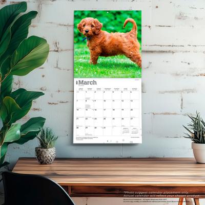 Show full view: BrownTrout Publishers Goldendoodles 2027 Wall Calendar slide 5 of 9