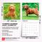 Show in main carousel: BrownTrout Publishers Goldendoodles 2027 Wall Calendar slide 7 of 9
