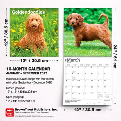 Show full view: BrownTrout Publishers Goldendoodles 2027 Wall Calendar slide 7 of 9