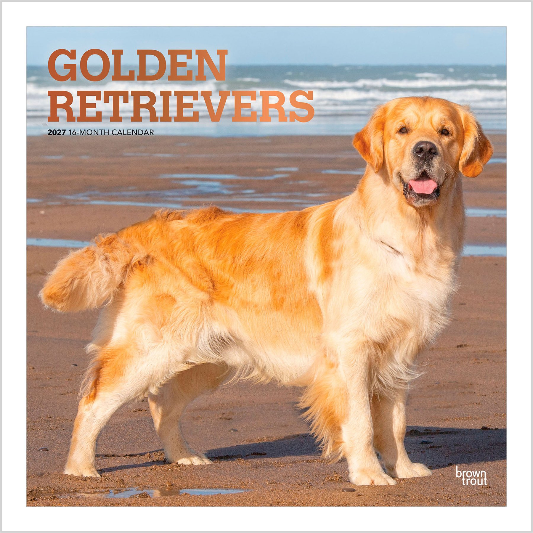 BrownTrout Publishers Golden Retrievers 2027 Wall Calendar