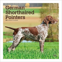 BrownTrout Publishers German Shorthaired Pointers 2027 Wall Calendar