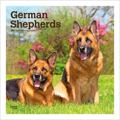 BrownTrout Publishers German Shepherds 2027 Wall Calendar