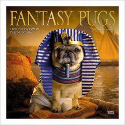BrownTrout Publishers Fantasy Pugs Official 2027 Wall Calendar