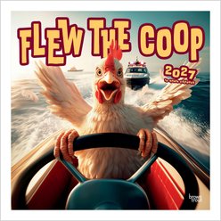 BrownTrout Publishers Flew the Coop 2027 Wall Calendar