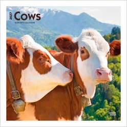 BrownTrout Publishers Cows 2027 Wall Calendar