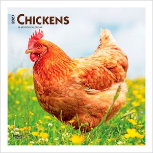 BrownTrout Publishers Chickens 2027 Wall Calendar