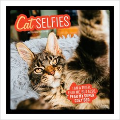 BrownTrout Publishers Cat Selfies 2027 Wall Calendar
