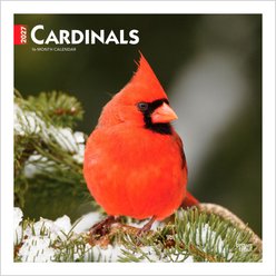 BrownTrout Publishers Cardinals 2027 Wall Calendar