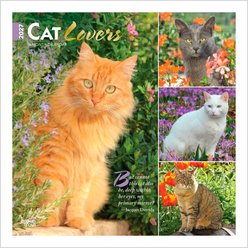BrownTrout Publishers Cat Lovers 2027 Wall Calendar