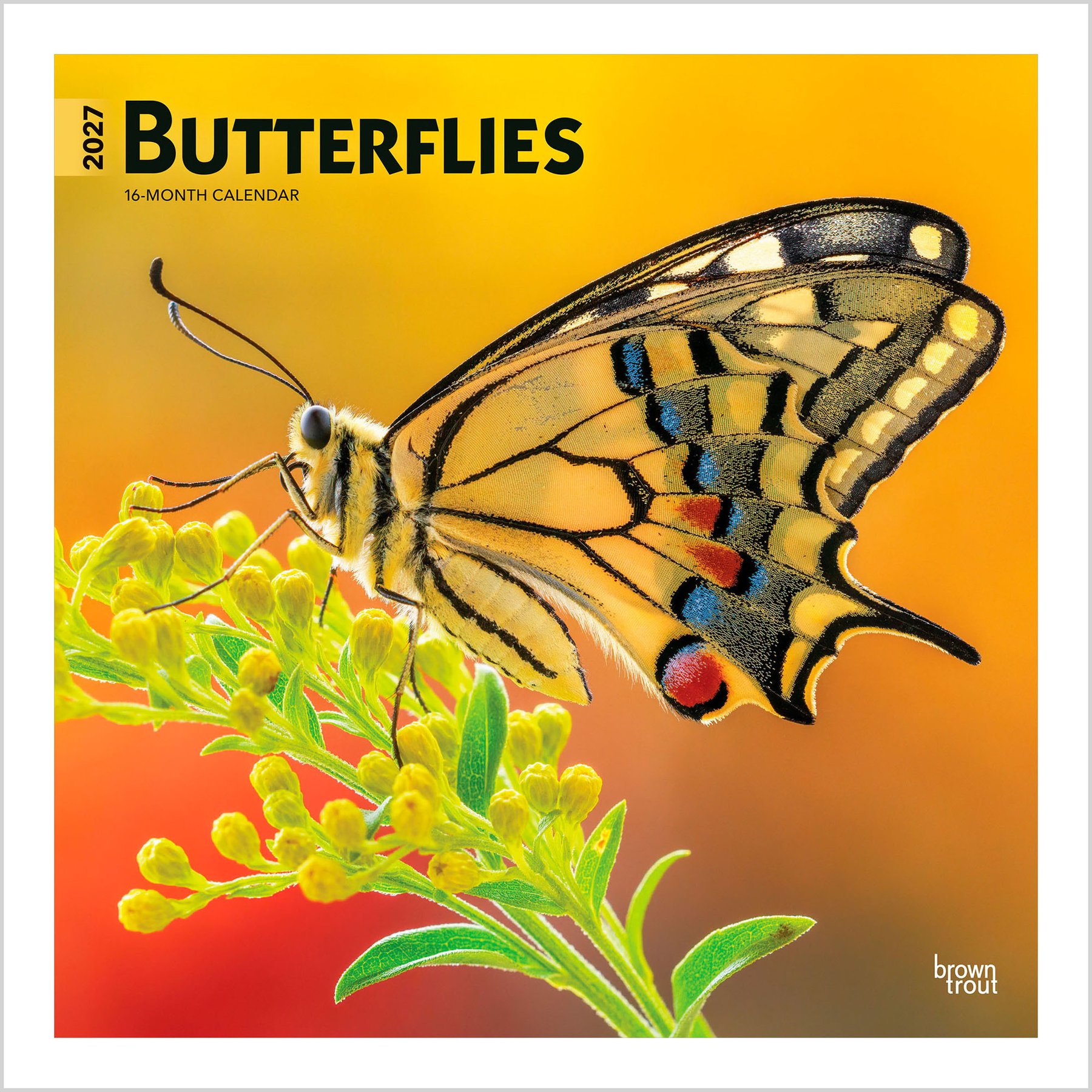 BrownTrout Publishers Butterflies 2027 Wall Calendar