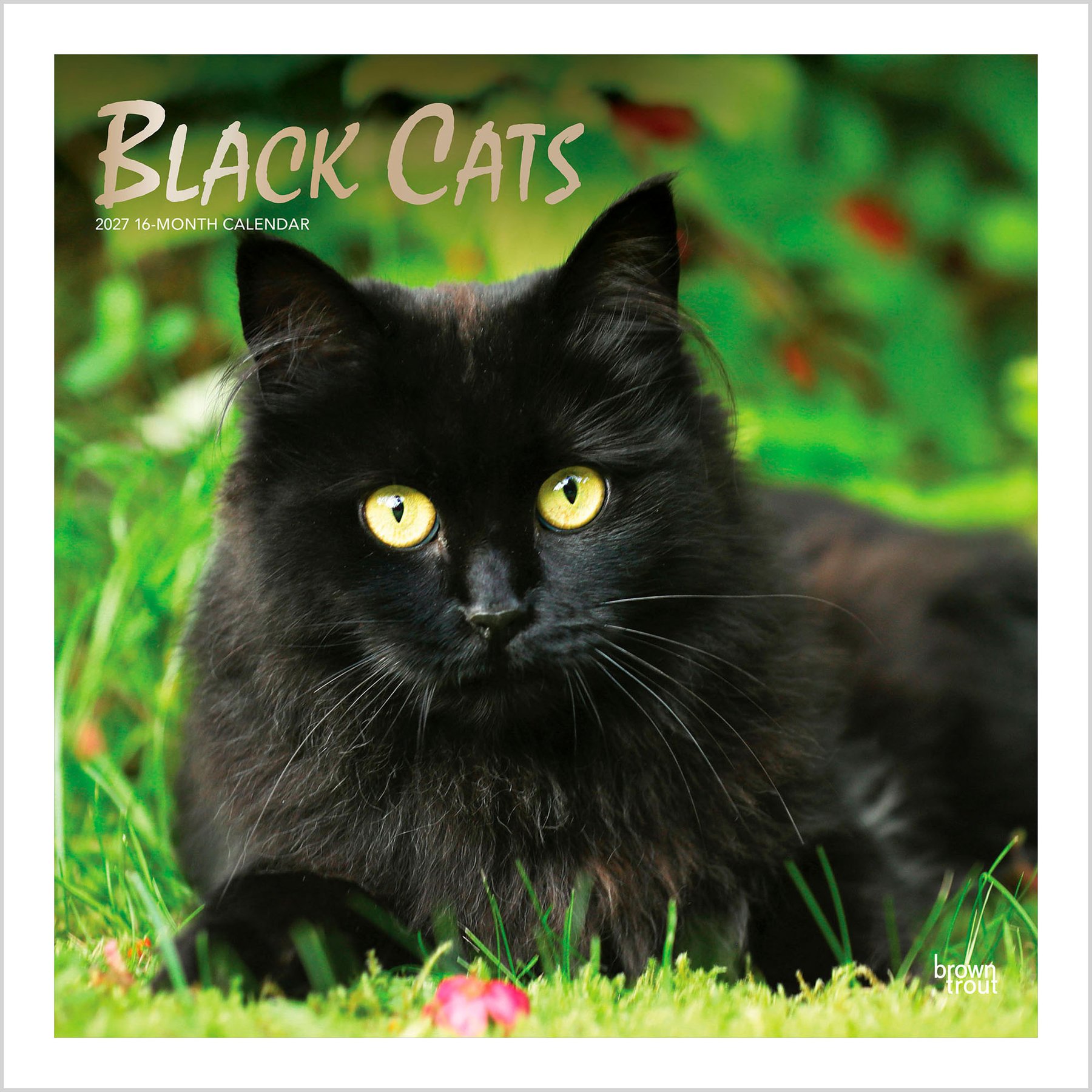 BrownTrout Publishers Black Cats 2027 Wall Calendar