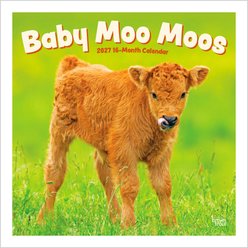 BrownTrout Publishers Baby Moo Moos 2027 Wall Calendar