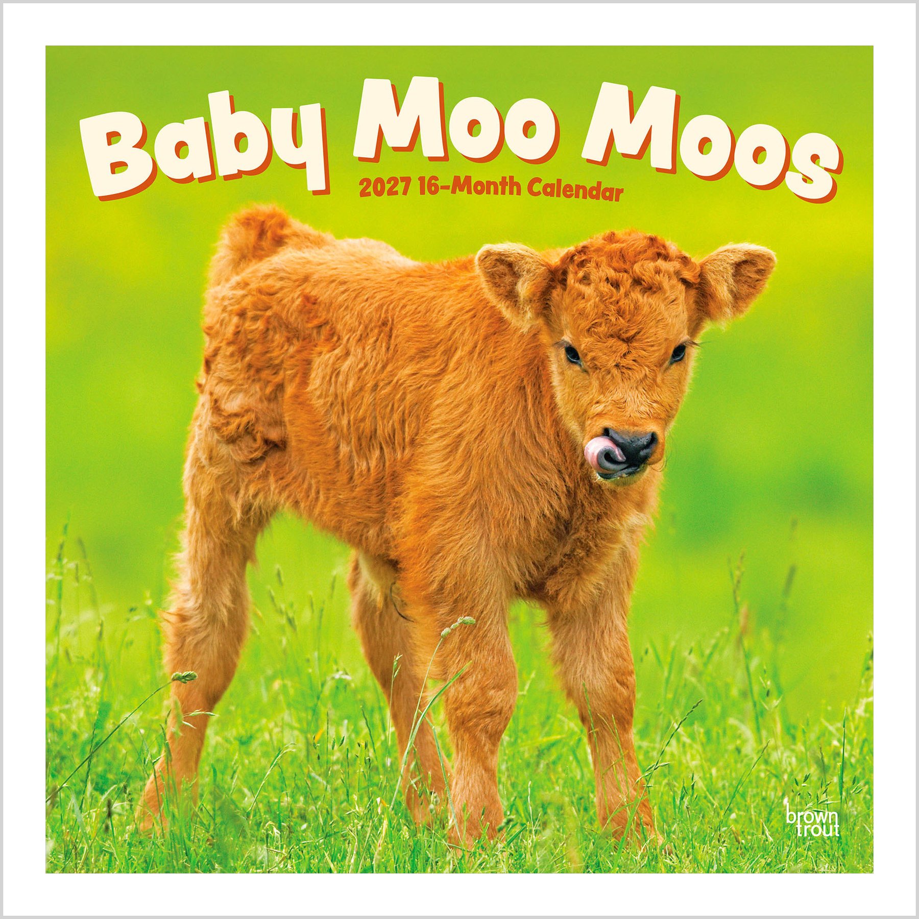 BrownTrout Publishers Baby Moo Moos 2027 Wall Calendar