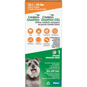 Credelio Quattro/Credelio Quattro-CA1 Chewable Tablets for Dogs, 12.1-25 lbs, 1 Chewable (1-mo. supply)