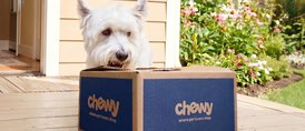 Sniff out more dog deals
