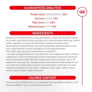 Royal Canin Feline Care Nutrition Digestive Care Adult Dry Cat Food, 6-lb bag