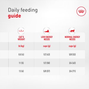 Royal Canin Feline Care Nutrition Digestive Care Adult Dry Cat Food, 6-lb bag