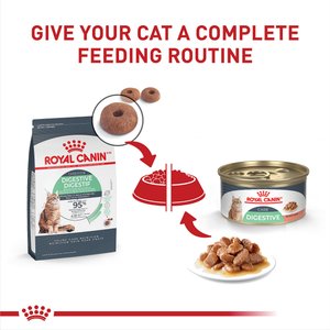 Royal Canin Feline Care Nutrition Digestive Care Adult Dry Cat Food, 6-lb bag