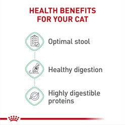 Royal Canin Feline Care Nutrition Digestive Care Adult Dry Cat Food, 6-lb bag slide 2 of 9