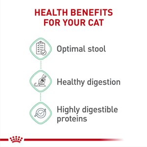 Royal Canin Feline Care Nutrition Digestive Care Adult Dry Cat Food, 6-lb bag