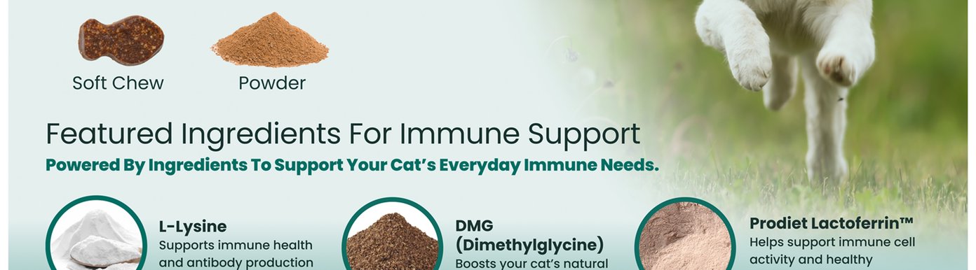 Every VetriScience Lysine Immunity Health formula is developed to provide condition-specific support backed by science. The combination of researched ingredients and veterinarian-formulated nutrition helps maintain immune health, respiratory wellness, and overall vitality through convenient daily supplementation.