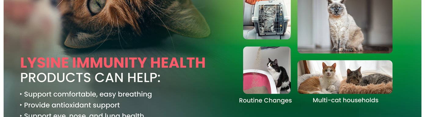 VetriScience offers Lysine Immunity Health in both soft chew and powder forms, making it easy to choose the option that best fits your cat's preferences and daily routine. Each format delivers the same targeted support for immune, eye, and respiratory health.
