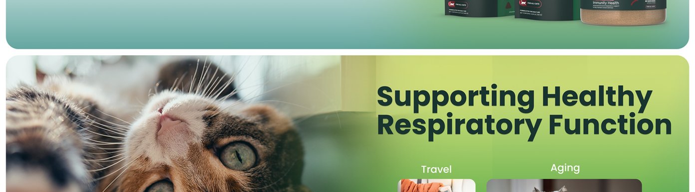 Cats may benefit from additional immune and respiratory support during travel, routine changes, aging, or when living in multi-cat households. Lysine Immunity Health is formulated to help support cats through these everyday situations by promoting immune health and healthy respiratory function.