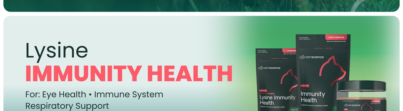 Lysine Immunity Health is formulated to support healthy respiratory function and everyday immune wellness. The supplement helps promote comfortable breathing, provides antioxidant support, and helps maintain healthy eye, nose, and lung function. Daily use supports overall respiratory health for cats.